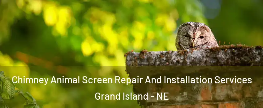  Chimney Animal Screen Repair And Installation Services Grand Island - NE