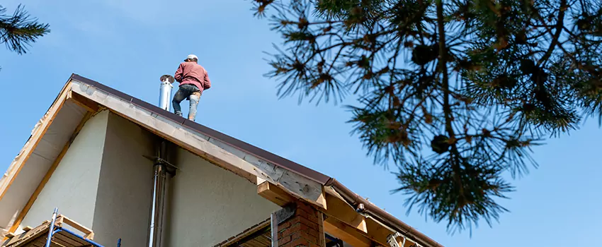 Birds Removal Contractors from Chimney in Grand Island, NE