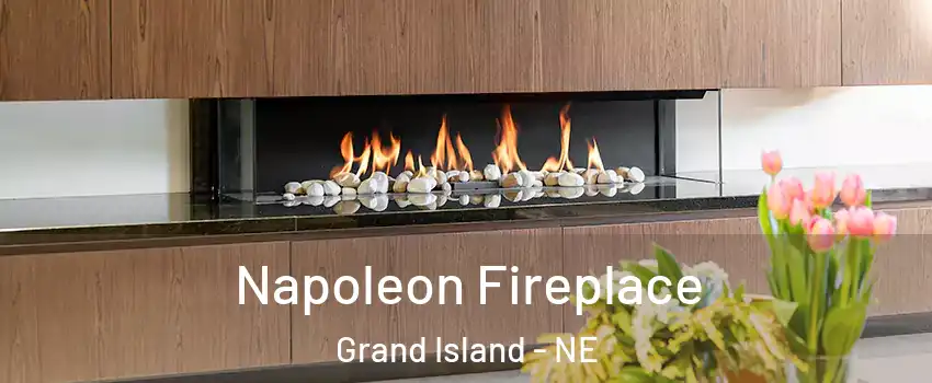  Napoleon Fireplace Grand Island - NE